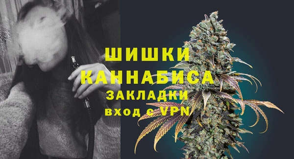 ГАЛЛЮЦИНОГЕННЫЕ ГРИБЫ Михайловка