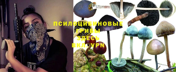 скорость Алексин