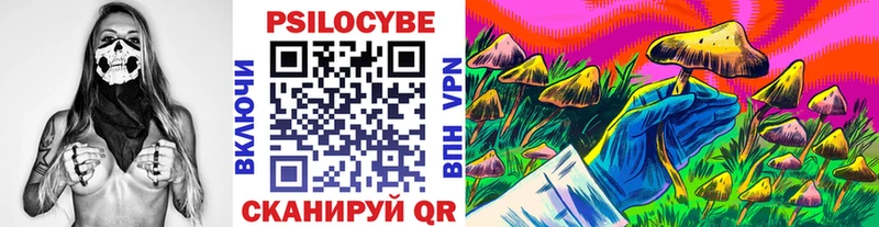 Купить  Голицыно  Галлюциногенные грибы GOLDEN TEACHER 